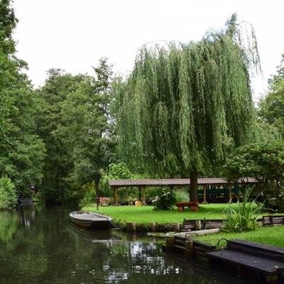 爱体育官方下载手机版